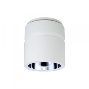 Đèn LED PHILIPS GreenSpace Surface-mounted - SM29x3